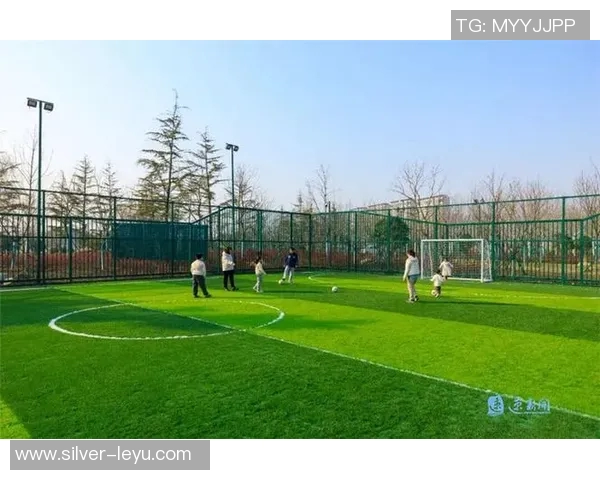 郴州足球公园：打造城市绿地与足球文化的完美结合新地标